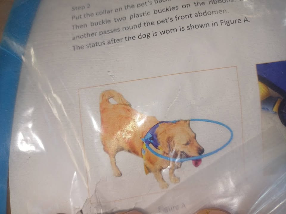 Harnais pour Chien Aveugle xxs Halo pour Animaux de Compagnie pour Chiens aveugles et malvoyants  Protection Anti-Collision réglable