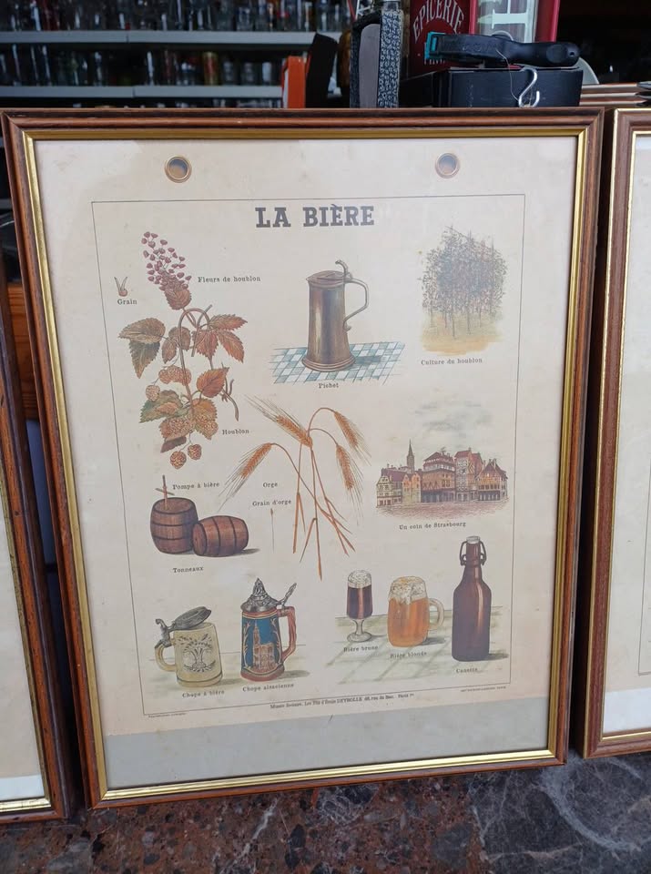 Ancienne affiche scolaire pour deco La bière, le thé,  le formage ,la cacao.  30x36cm.  Avec cadre 32x42cm. 15€ pièce  Musée scolaire les fils Deyrolle