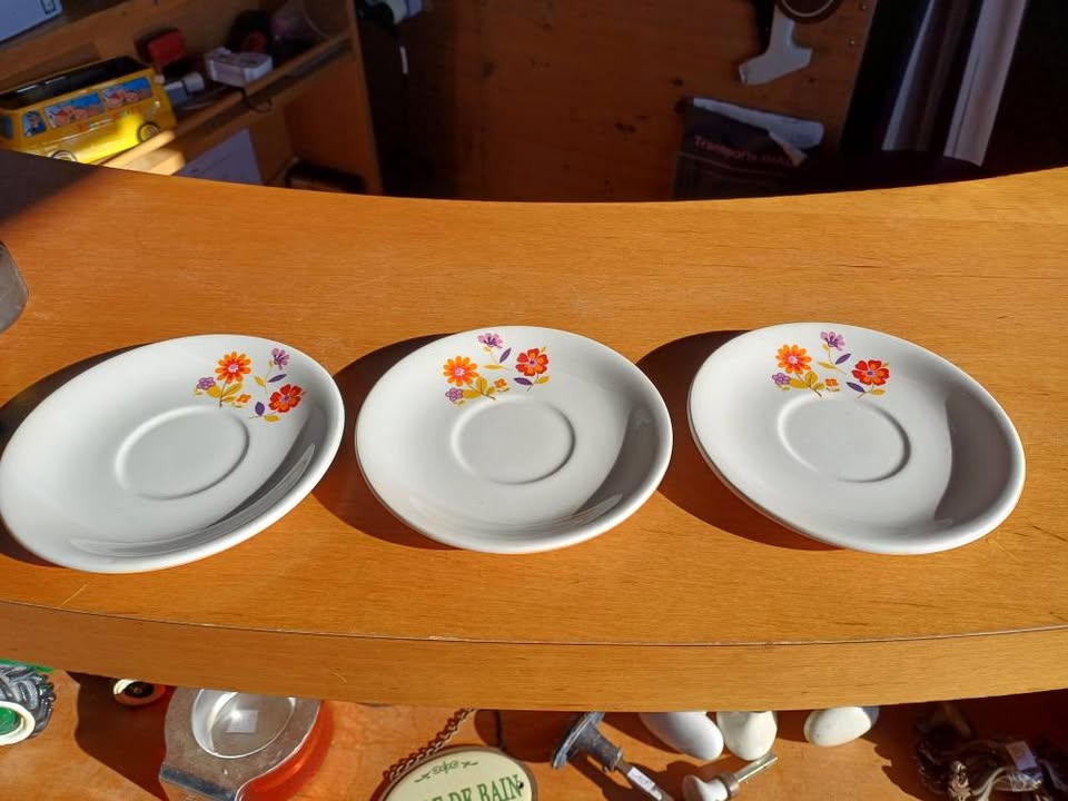 3 sous tasses moulins des loups 70's. Motifs fleuris tres coloré