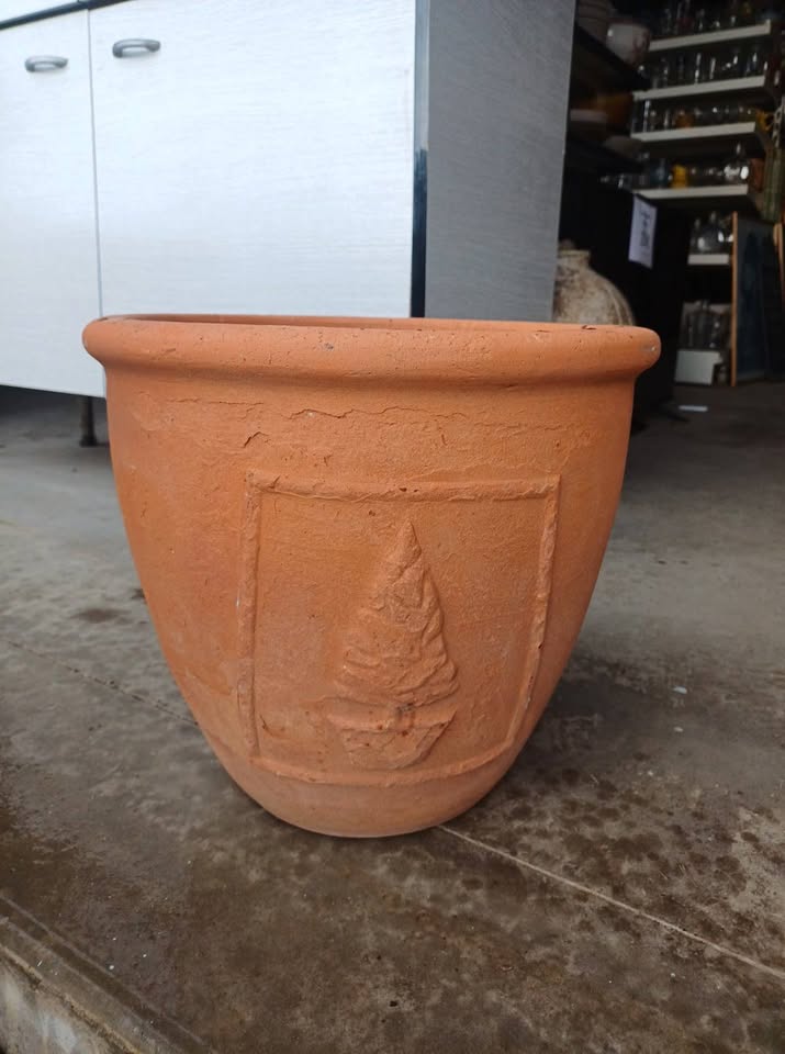 Pot de fleurs arbuste terres cuite