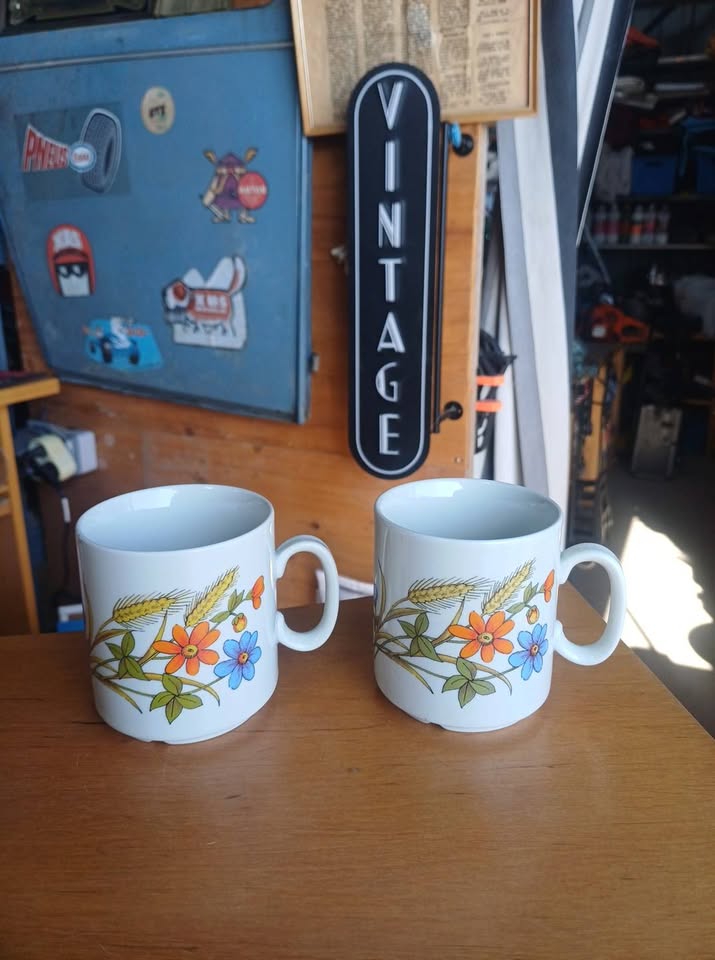 Duo de Mugs Vintage Porcelaine Italienne IPA – Décor Champêtre 🇮🇹