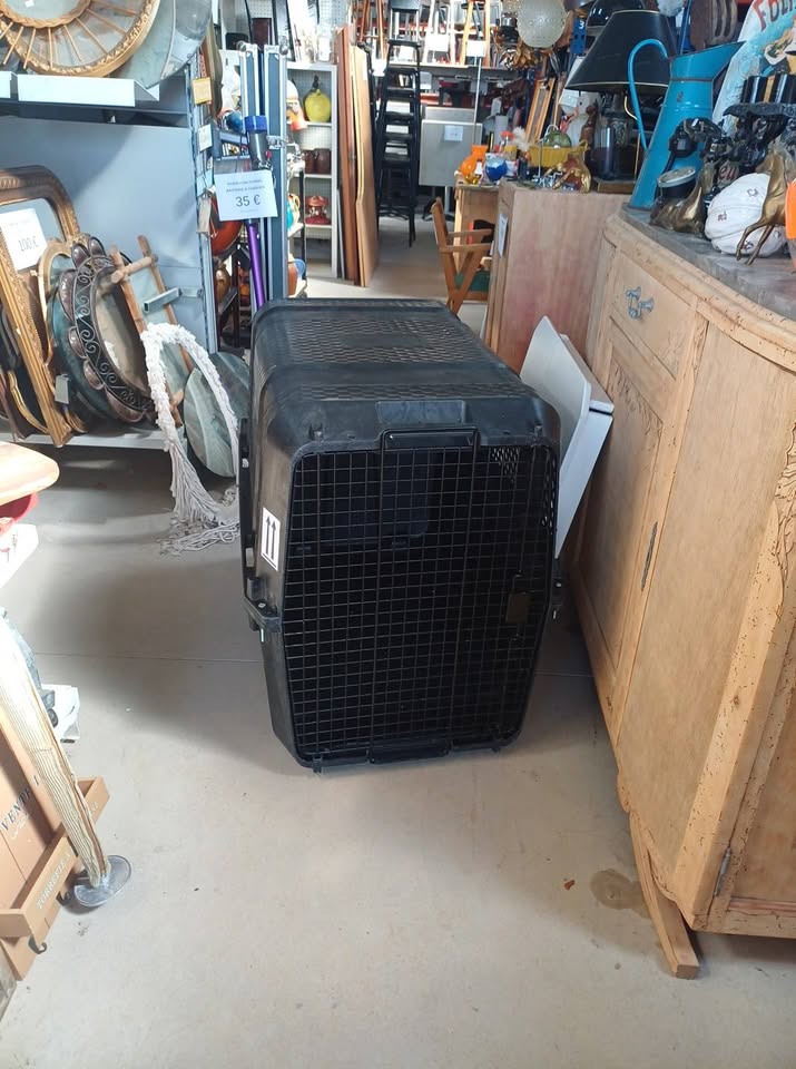 Cage de transport grand chien (type XL / XXL) - État neuf