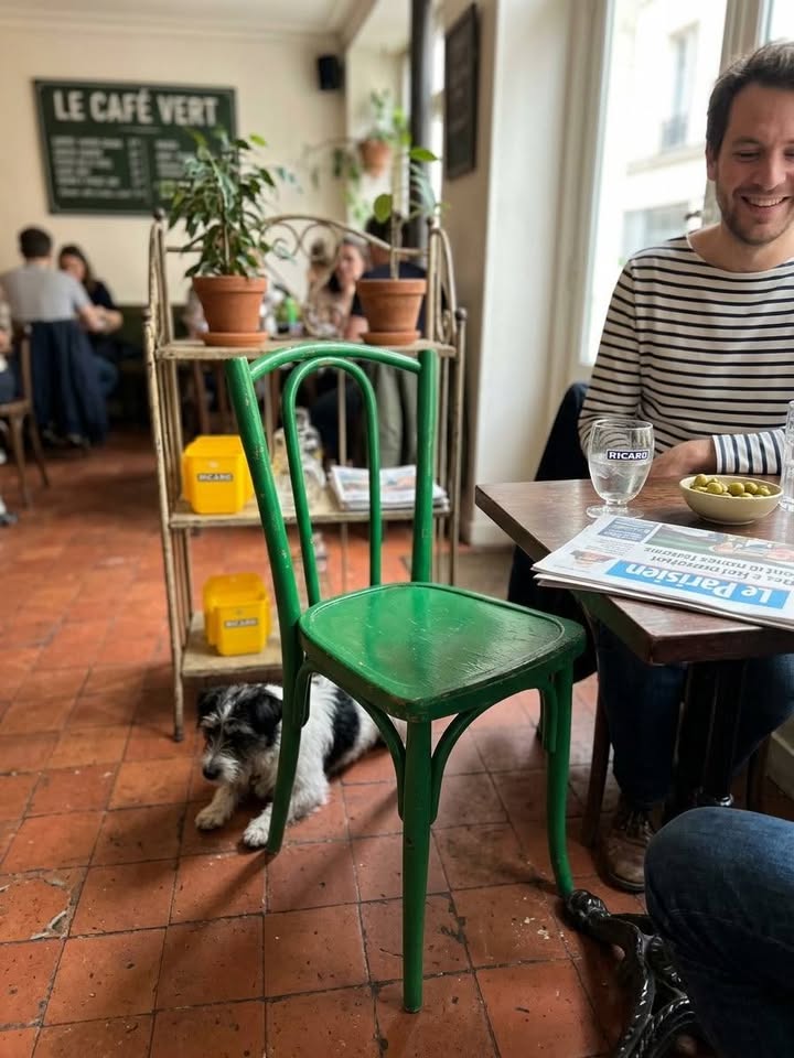 Chaise bistrot vintage bois courbé verte — Style Baumann / Thonet