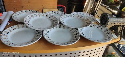 Assiettes Saint Amand et hamage