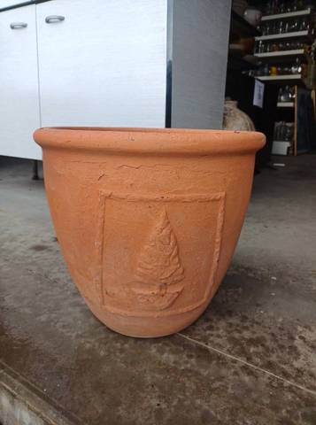 Pot de fleurs arbuste terres cuite