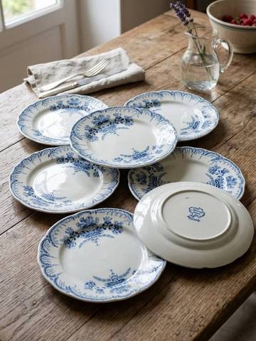 Lot 7 Assiettes Plates Vintage Terre de Fer Saint-Amand & Hamage Nord Modèle Régence 25cm