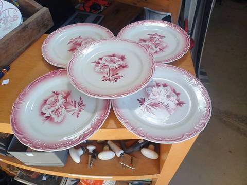 Lot 5 assiettes anciennes Porcelaine Opaque – Décor floral rose bordeaux Ø 20,5 cm
