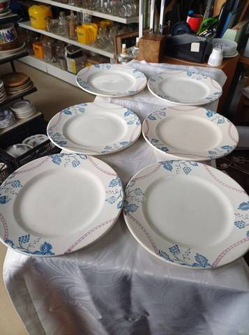 Lot de 6 assiettes creuses / calottes anciennes en faïence — Décor bleu & rose (Ø 22 cm)