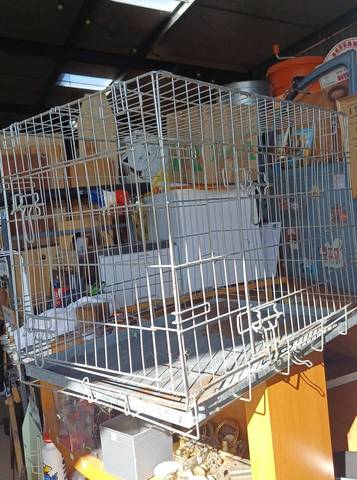 Cage de Transport / Éducation Pliable en Métal pour Chien / Animaux (Bac Métallique Galvanisé)